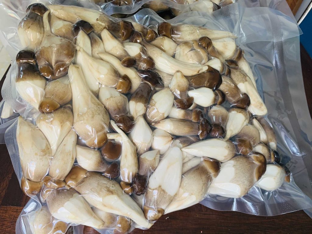 Hút chân không các loại nấm tại quận Ba Đình