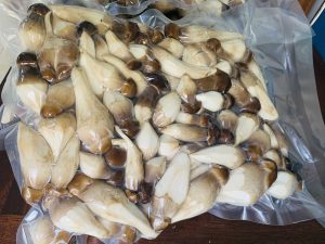 Hút chân không các loại nấm tại quận Ba Đình