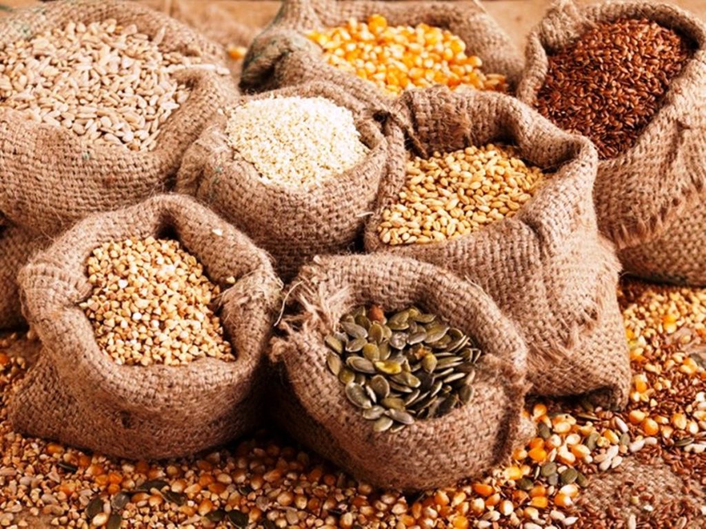 Hút chân không hạt giống tại Hà Nội