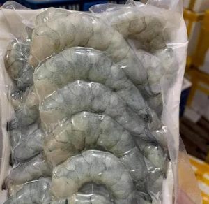Hút chân không tôm tại Hà Nội