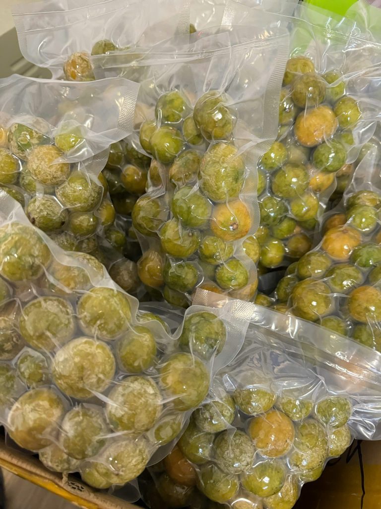 Hút chân không sấu